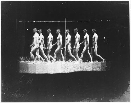 [Man Walking, "Stroboscopic" Photograph]