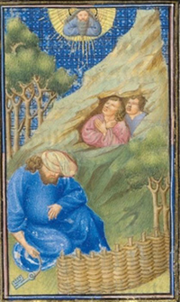 Folio 71v