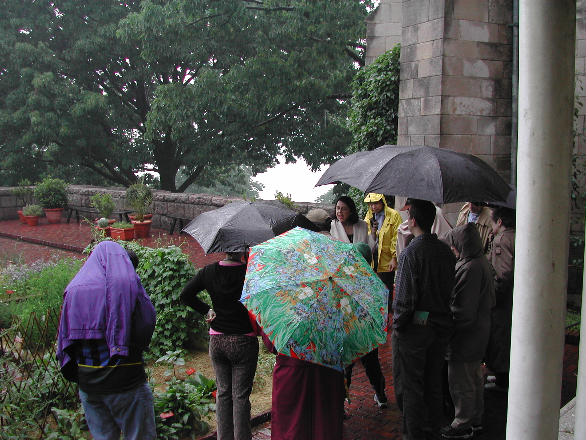 Garden Day, 2003