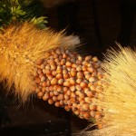 Two segments of wheat ears flank a segment of hazelnuts.