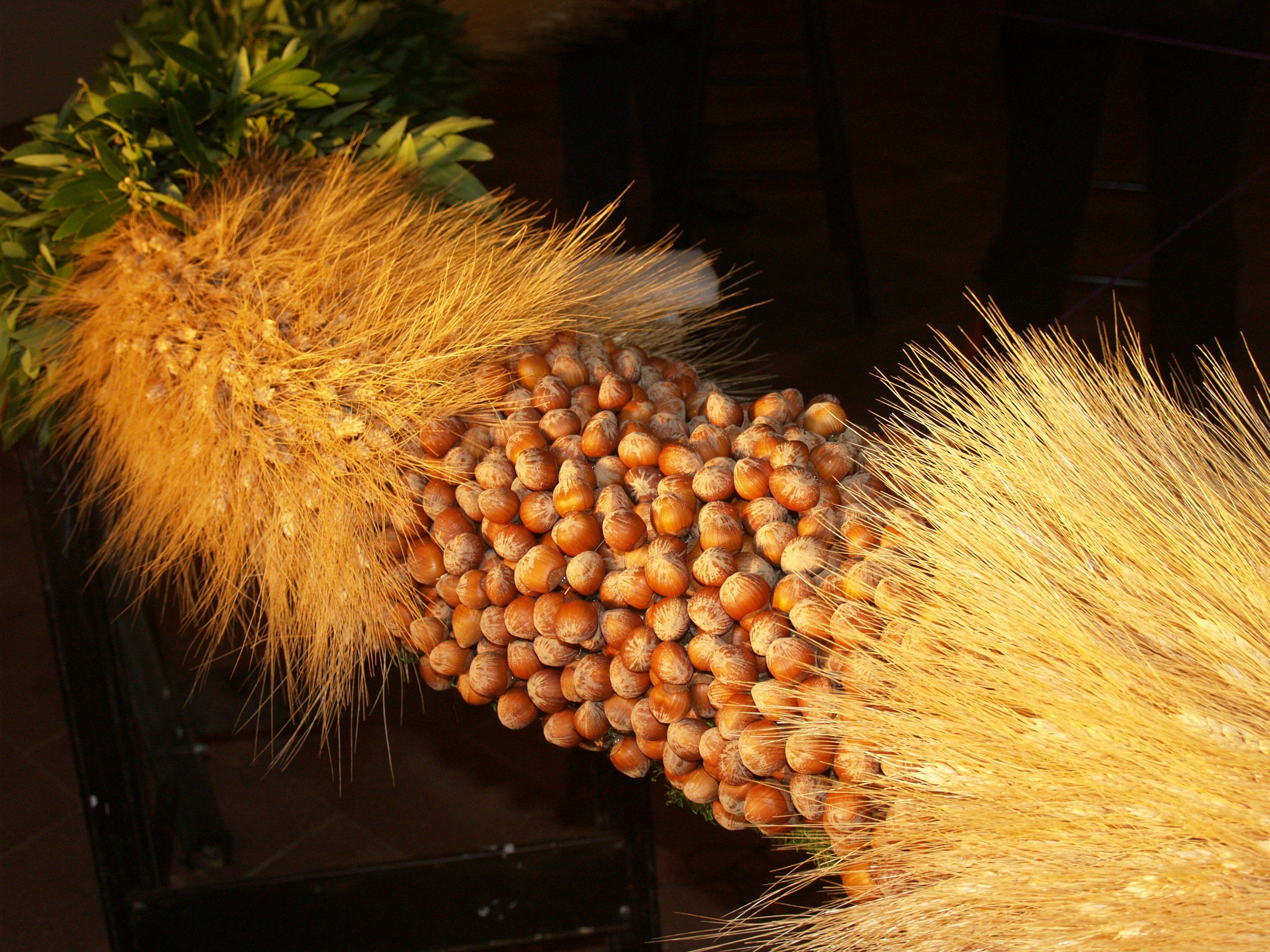 Two segments of wheat ears flank a segment of hazelnuts.