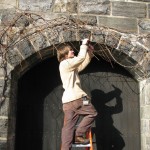 Pruning the grapevines in the courtyard