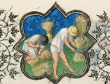 July Activity: Cutting and Binding Wheat