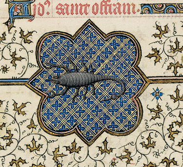 The Zodiacal Sign of Scorpio