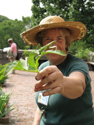 Nuala and Mantis