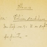 M. Freeman Note on Identification of Lily