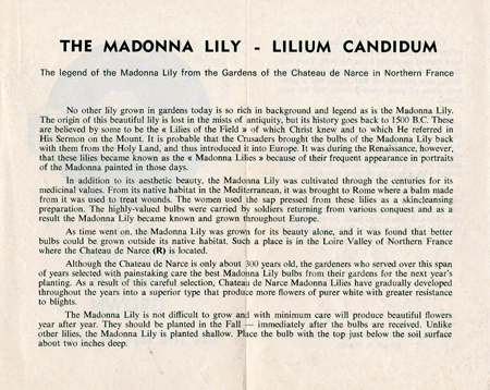 Text of Brochure for French Bulbs