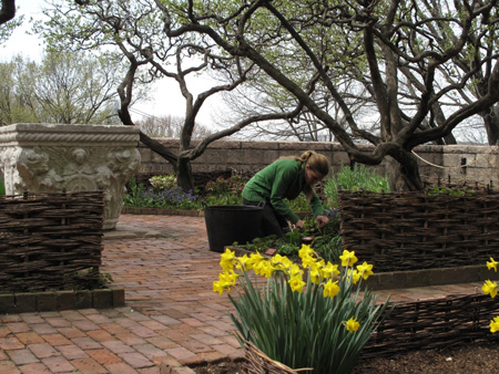 Working in the Garden