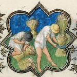 July Activity: Reaping Grain