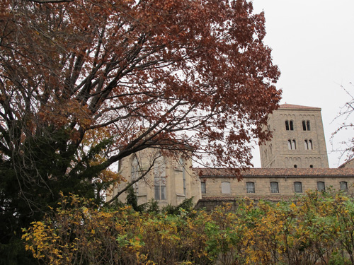 Oak Trees at The Cloisters